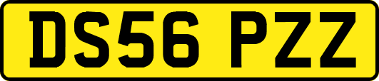 DS56PZZ