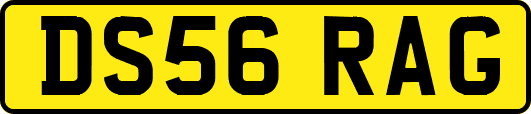 DS56RAG