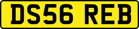DS56REB