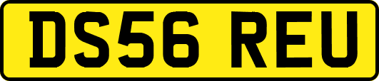 DS56REU