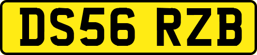 DS56RZB
