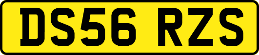 DS56RZS