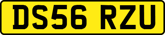 DS56RZU
