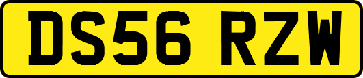 DS56RZW
