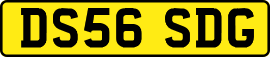 DS56SDG