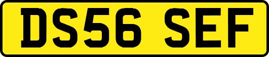 DS56SEF