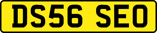 DS56SEO