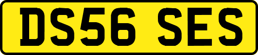 DS56SES
