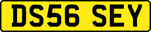 DS56SEY