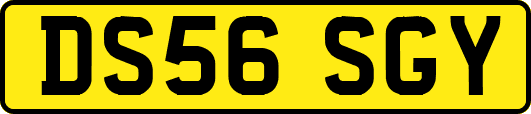 DS56SGY