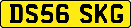 DS56SKG