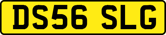 DS56SLG