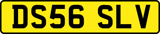 DS56SLV