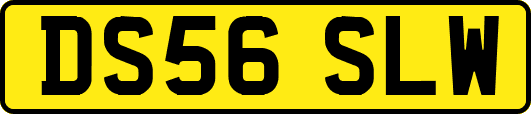 DS56SLW