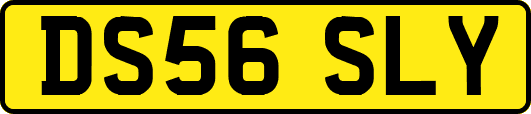 DS56SLY