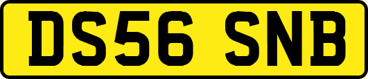 DS56SNB