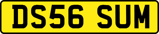 DS56SUM