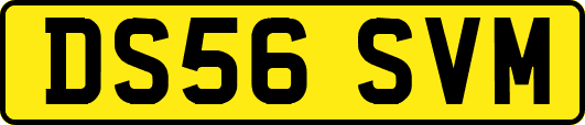 DS56SVM