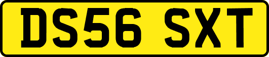 DS56SXT