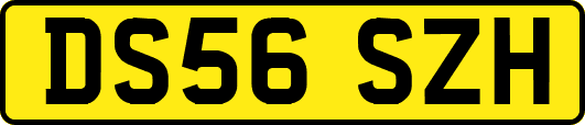 DS56SZH