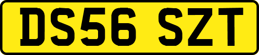 DS56SZT