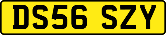 DS56SZY