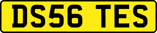 DS56TES