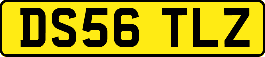DS56TLZ