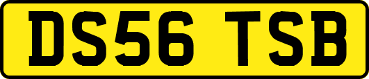 DS56TSB