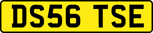 DS56TSE