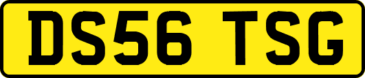 DS56TSG