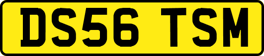 DS56TSM