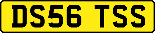 DS56TSS