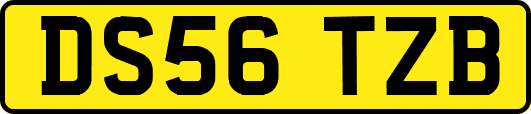 DS56TZB