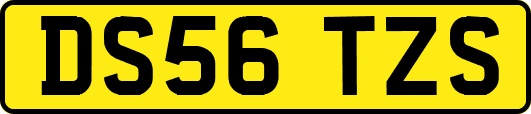 DS56TZS