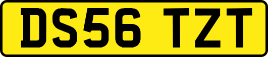 DS56TZT
