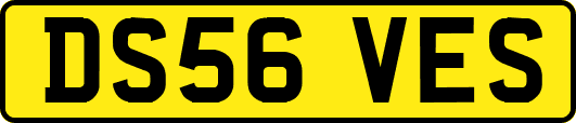 DS56VES