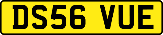 DS56VUE