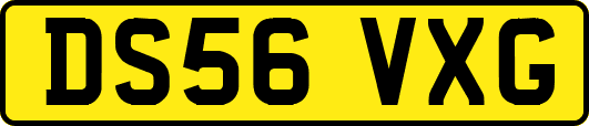 DS56VXG