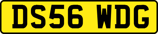 DS56WDG