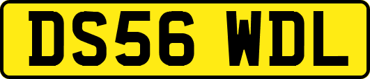 DS56WDL