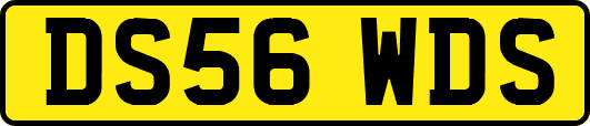 DS56WDS