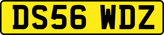 DS56WDZ
