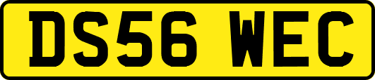 DS56WEC
