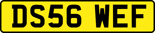 DS56WEF