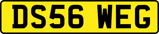 DS56WEG