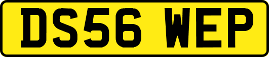 DS56WEP