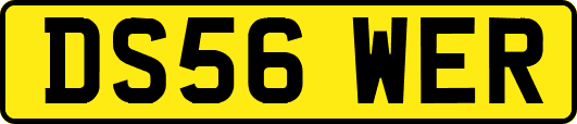 DS56WER