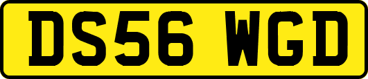 DS56WGD