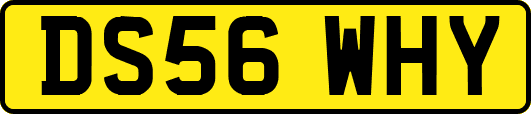 DS56WHY